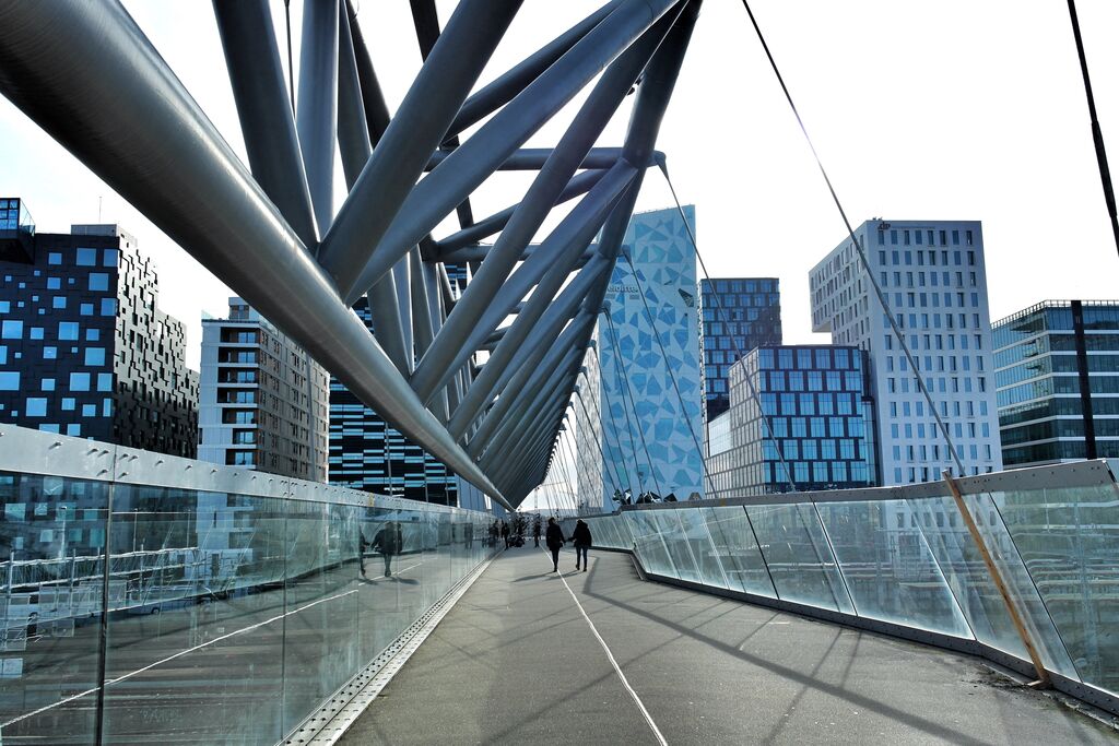 Navigating the Business Landscape in Norway | A Beginner's Guide | localmarket.no