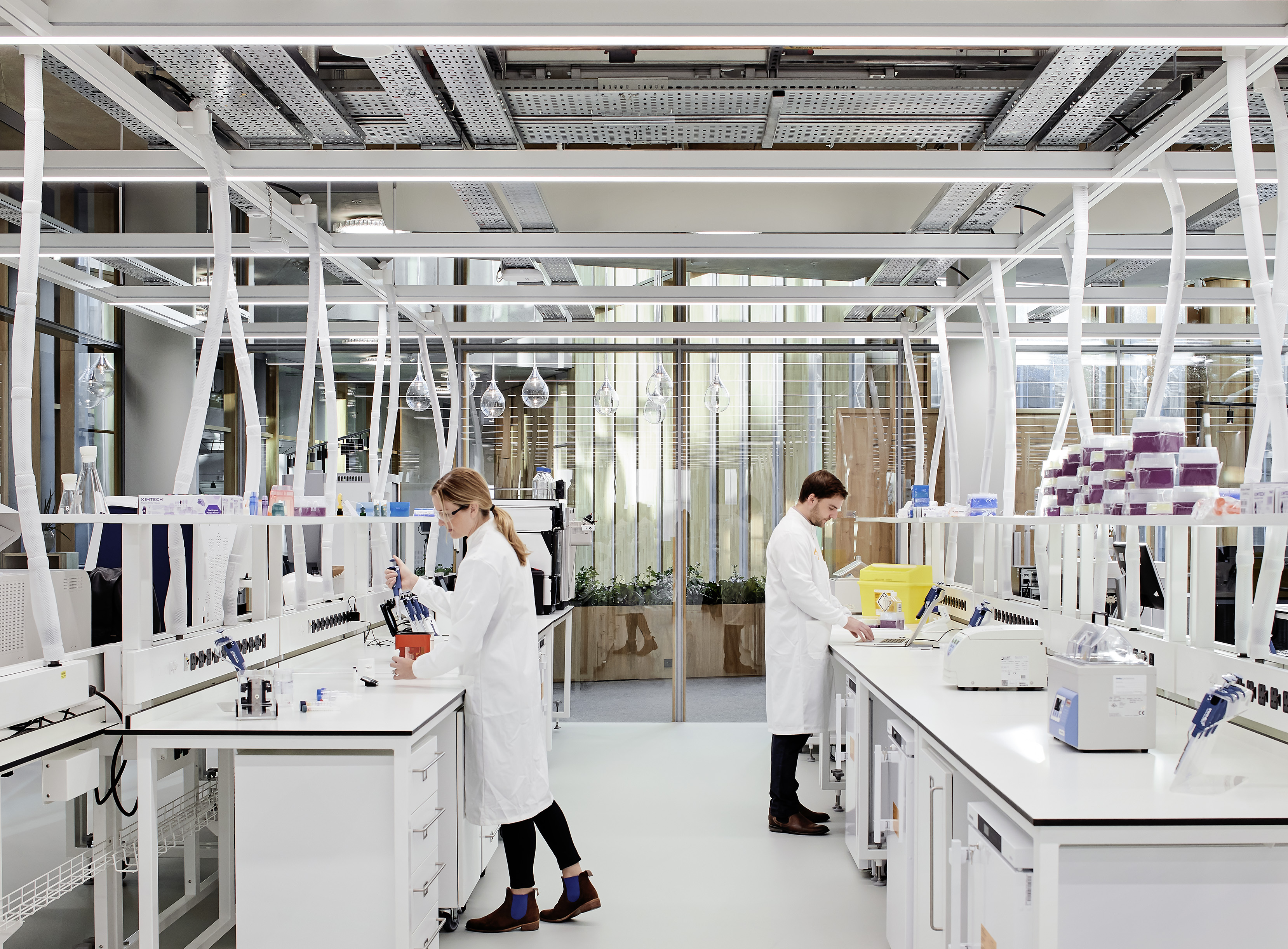 Oporność na antybiotyki to groźba kolejnej pandemii | localmarket.no